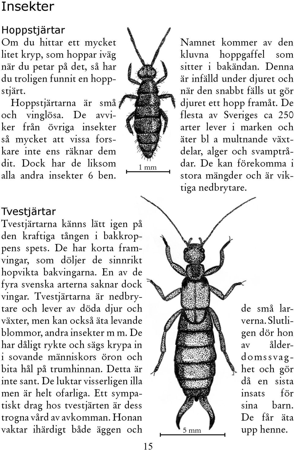 Denna är infälld under djuret och när den snabbt fälls ut gör djuret ett hopp framåt. De flesta av Sveriges ca 250 arter lever i marken och äter bl a multnande växtdelar, alger och svamptrådar.