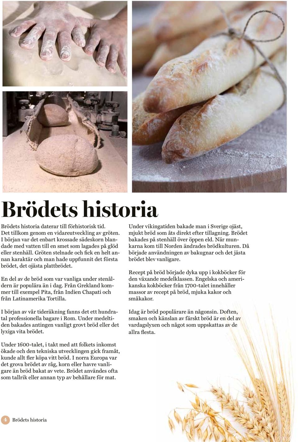 Gröten stelnade och fick en helt annan karaktär och man hade uppfunnit det första brödet, det ojästa plattbrödet. En del av de bröd som var vanliga under stenåldern är populära än i dag.