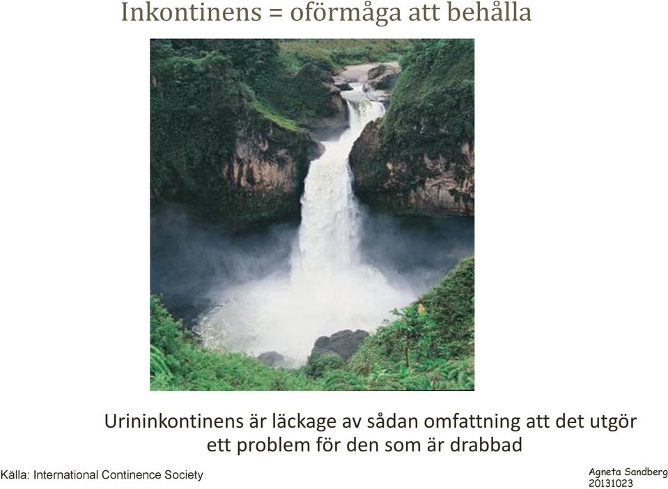 omfattning att det utgör ett problem för