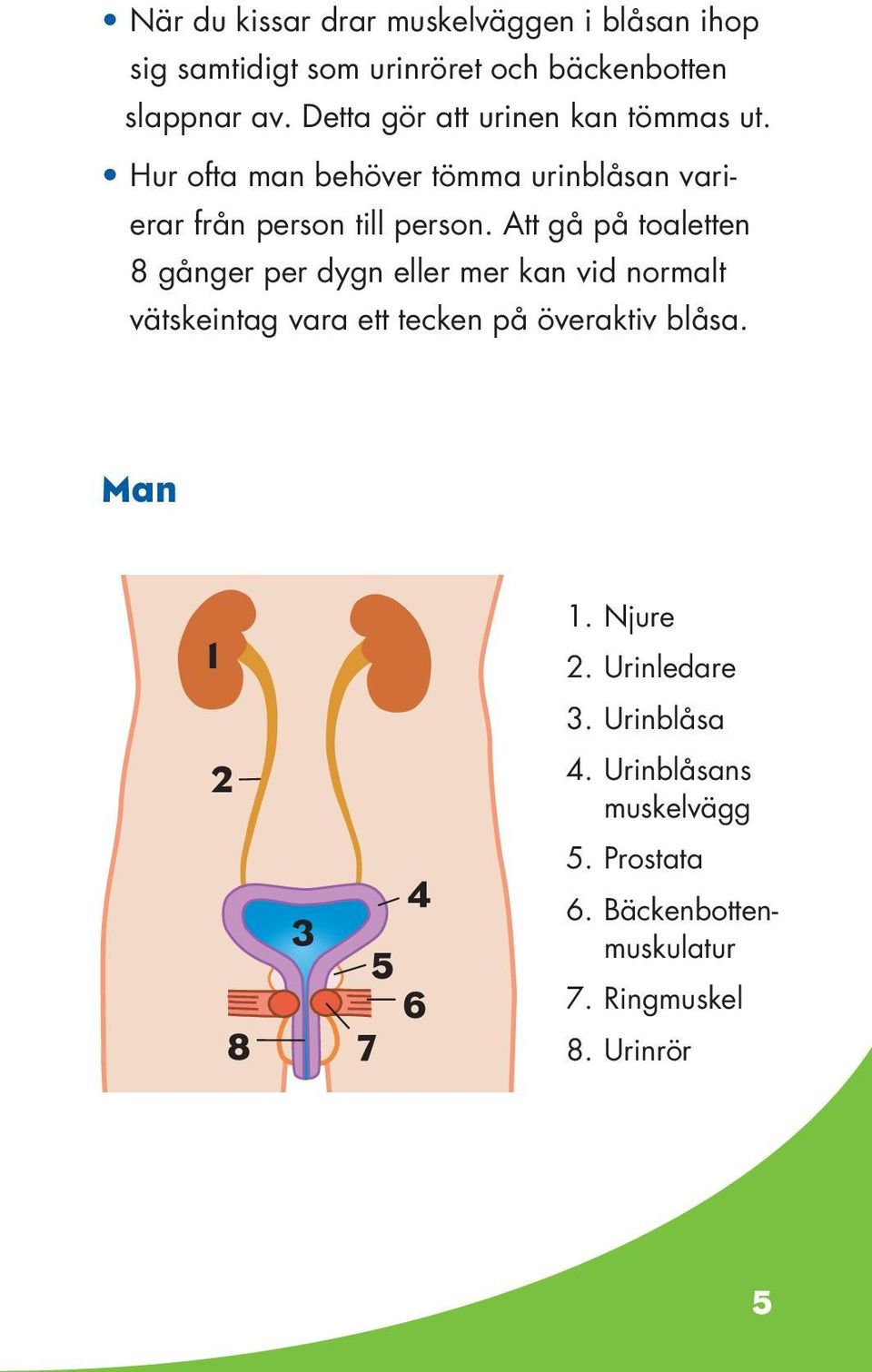 Att gå på toaletten 8 gånger per dygn eller mer kan vid normalt vätskeintag vara ett tecken på överaktiv blåsa.