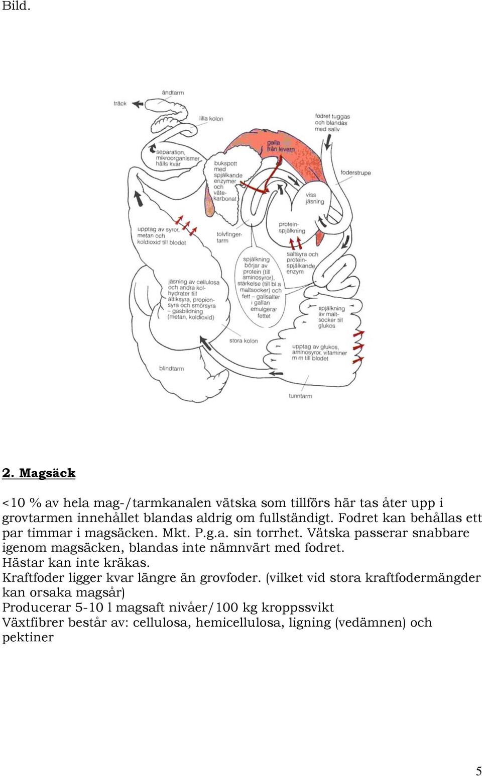 Fodret kan behållas ett par timmar i magsäcken. Mkt. P.g.a. sin torrhet.