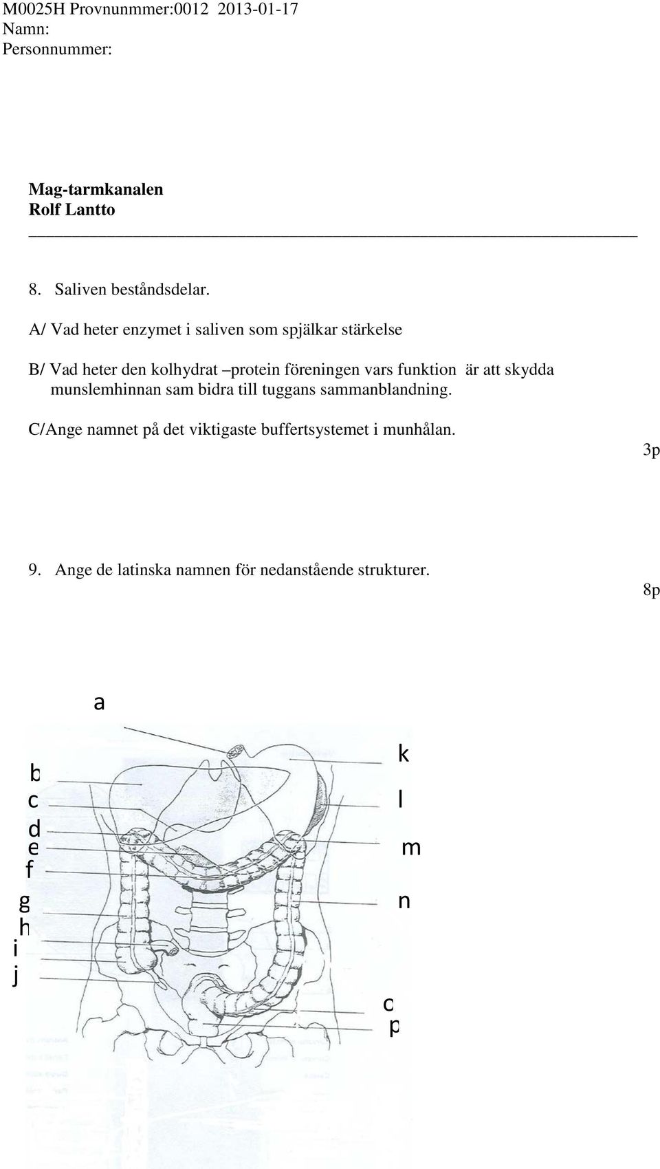 föreningen vars funktion är att skydda munslemhinnan sam bidra till tuggans sammanblandning.