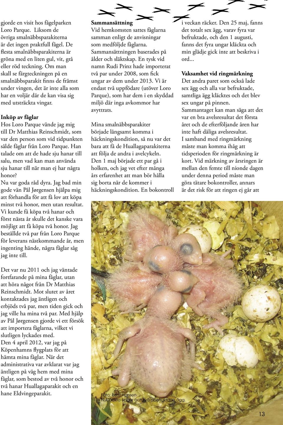 Inköp av fåglar Hos Loro Parque vände jag mig till Dr Matthias Reinschmidt, som var den person som vid tidpunkten sålde fåglar från Loro Parque.
