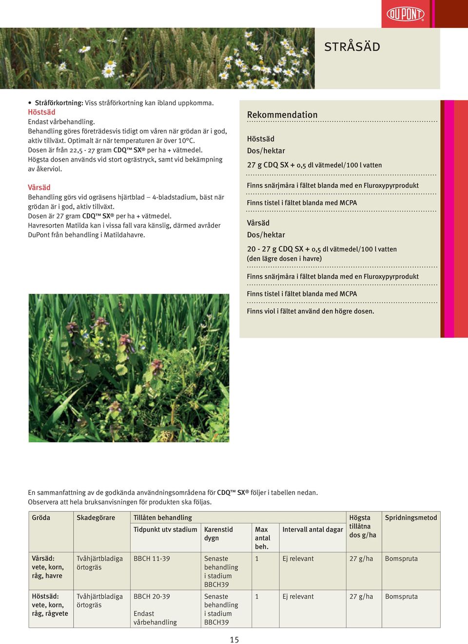Vårsäd Behandling görs vid ogräsens hjärtblad 4-bladstadium, bäst när grödan är i god, aktiv tillväxt. Dosen är 27 gram CDQ SX per ha + vätmedel.