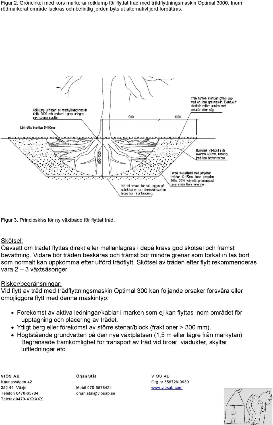 Vidare bör träden beskäras och främst bör mindre grenar som torkat in tas bort som normalt kan uppkomma efter utförd trädflytt.