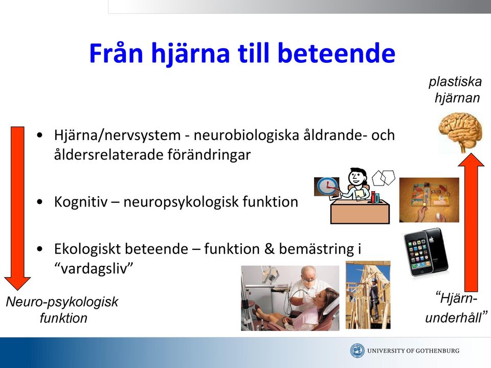 Kognitiv neuropsykologisk funktion Ekologiskt beteende funktion