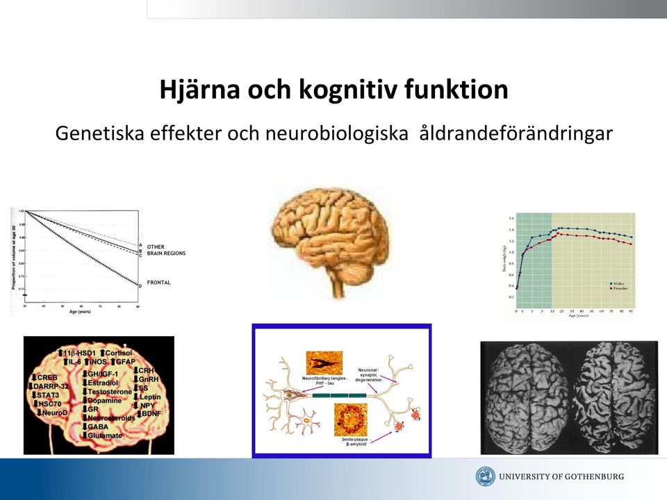 effekter och
