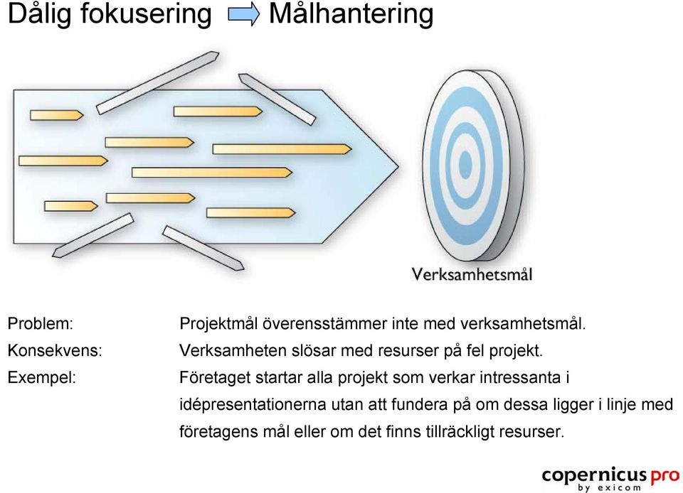 Verksamheten slösar med resurser på fel projekt.