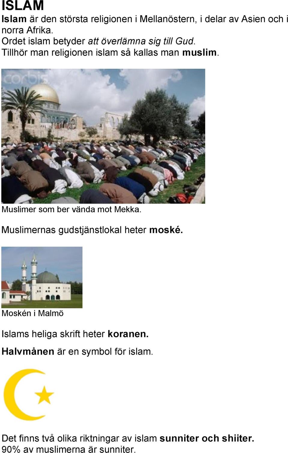 Muslimer som ber vända mot Mekka. Muslimernas gudstjänstlokal heter moské.