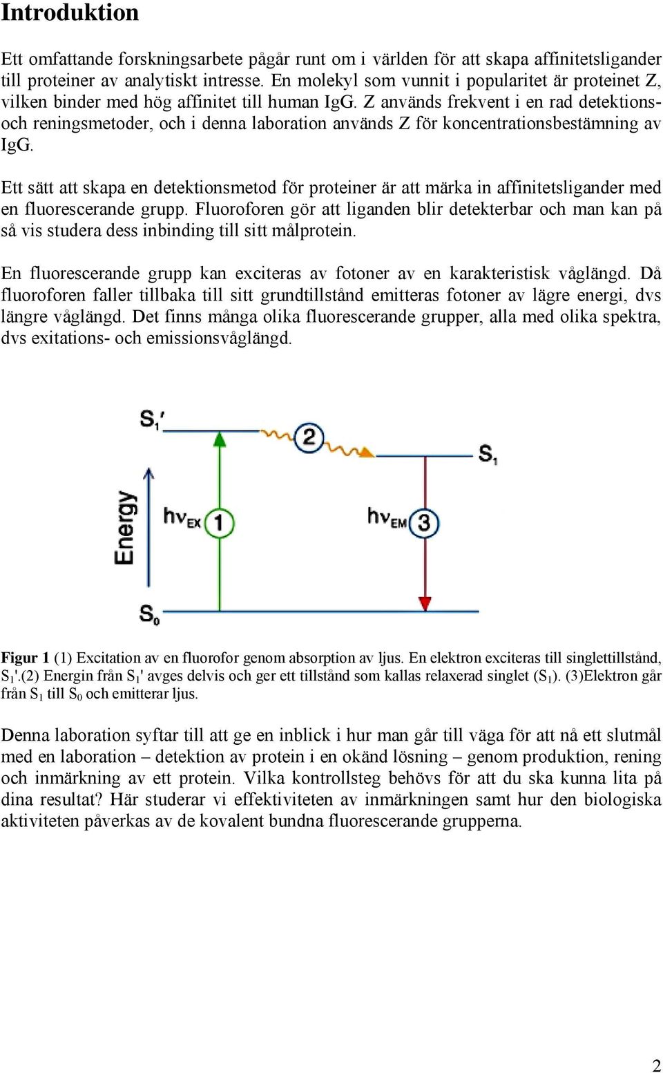 Z används frekvent i en rad detektionsoch reningsmetoder, och i denna laboration används Z för koncentrationsbestämning av IgG.