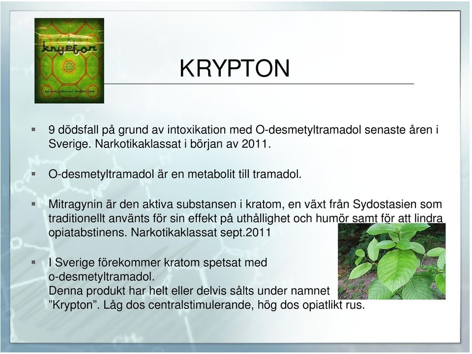 Mitragynin är den aktiva substansen i kratom, en växt från Sydostasien som traditionellt använts för sin effekt på uthållighet och humör