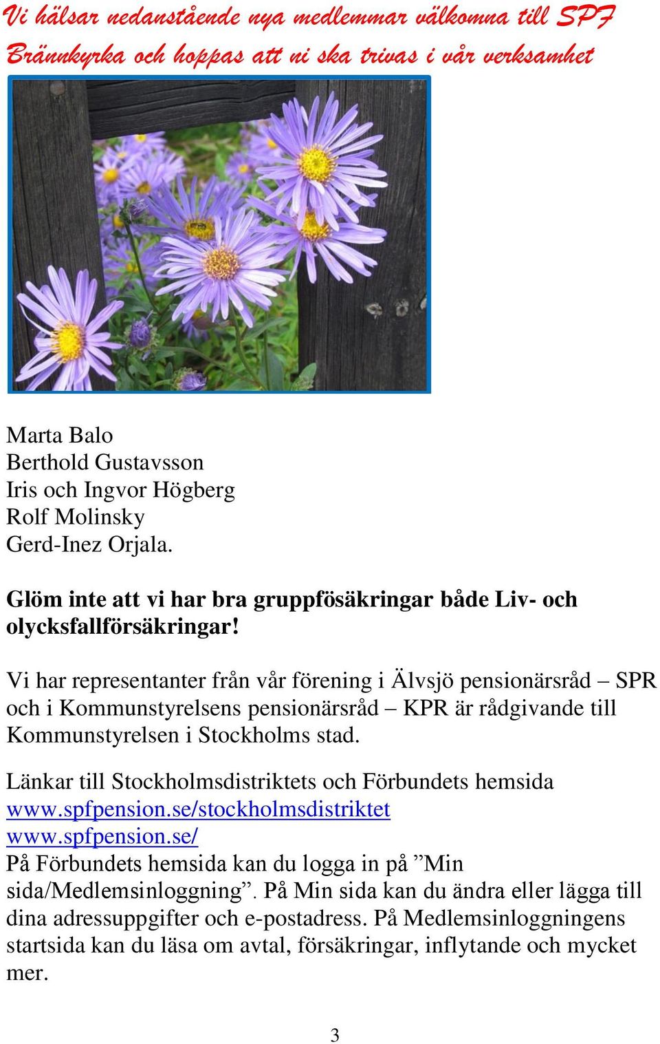Vi har representanter från vår förening i Älvsjö pensionärsråd SPR och i Kommunstyrelsens pensionärsråd KPR är rådgivande till Kommunstyrelsen i Stockholms stad.