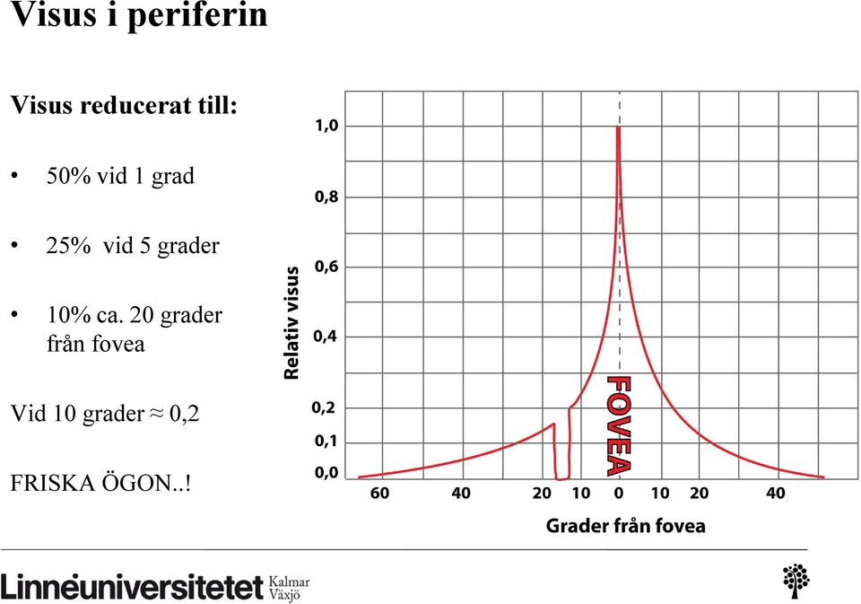 grader 10% ca.