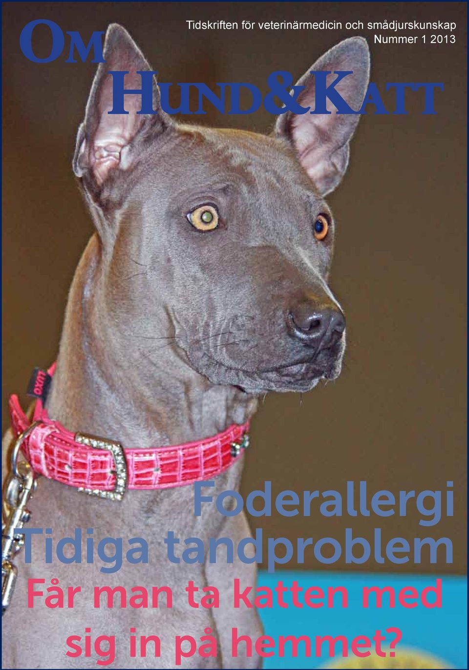 hund&katt Foderallergi Tidiga