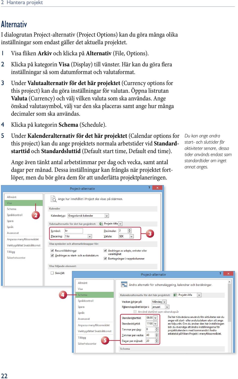 3 Under Valutaalternativ för det här projektet (Currency options for this project) kan du göra inställningar för valutan. Öppna listrutan Valuta (Currency) och välj vilken valuta som ska användas.