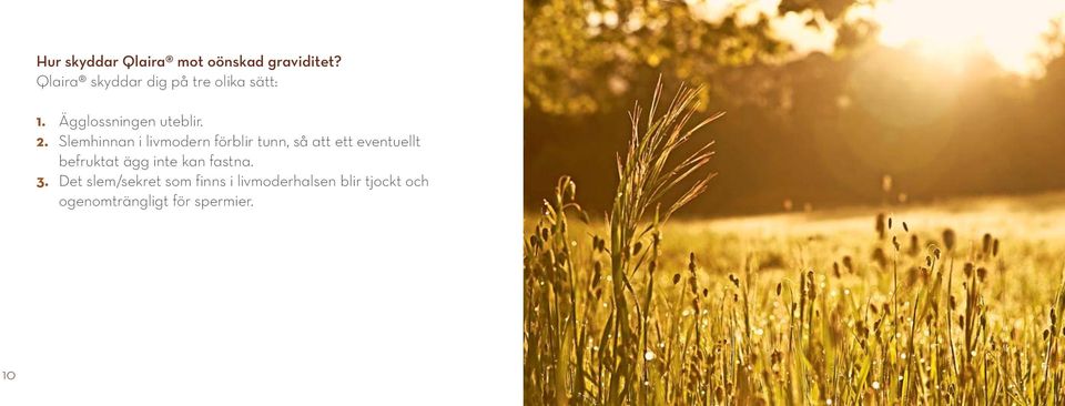Slemhinnan i livmodern förblir tunn, så att ett eventuellt befruktat ägg