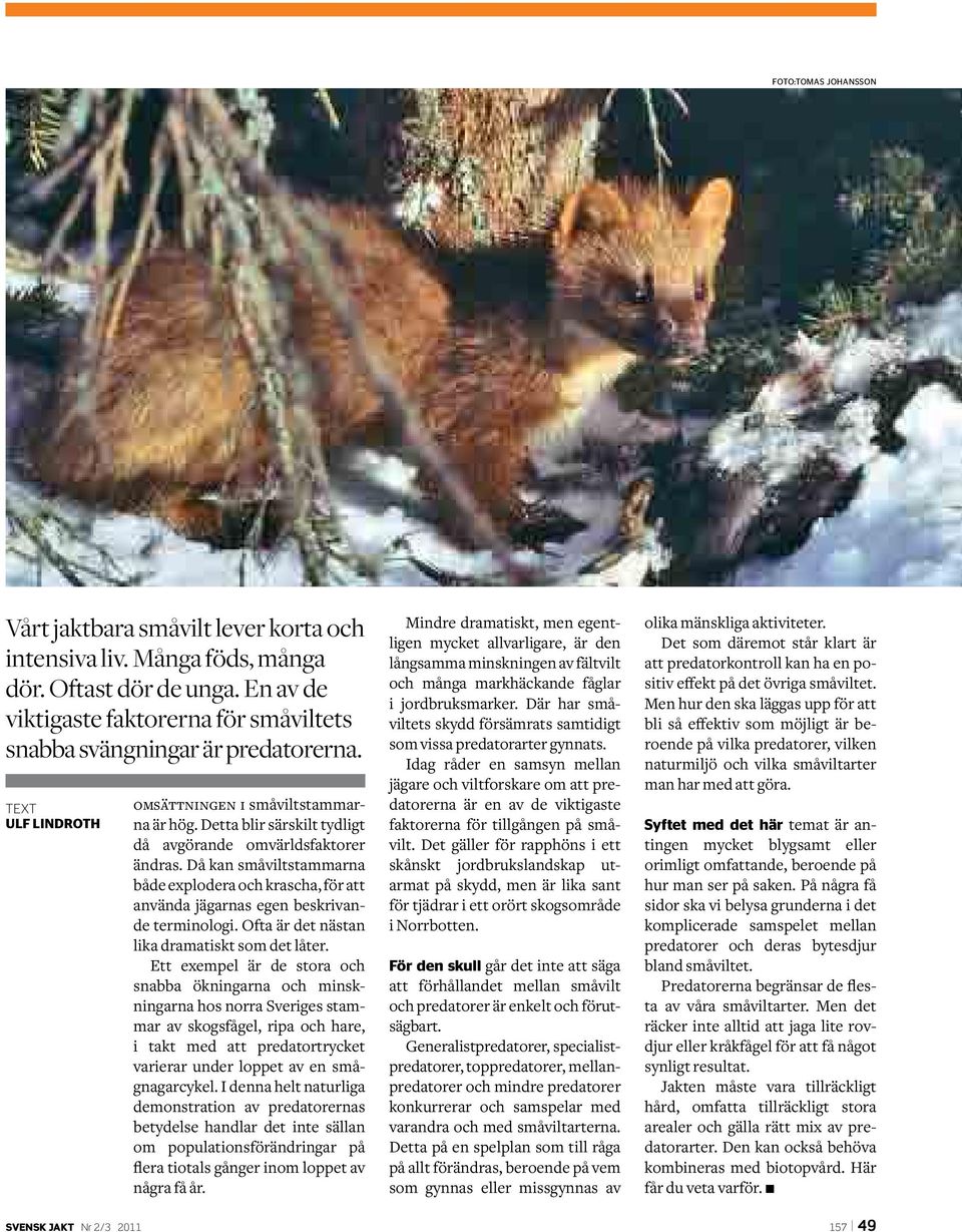 Då kan småviltstammarna både explodera och krascha, för att använda jägarnas egen beskrivande terminologi. Ofta är det nästan lika dramatiskt som det låter.