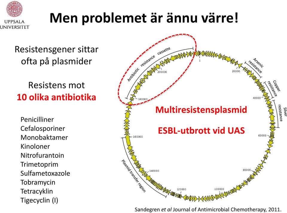 Cefalosporiner Monobaktamer Kinoloner Nitrofurantoin Trimetoprim Sulfametoxazole