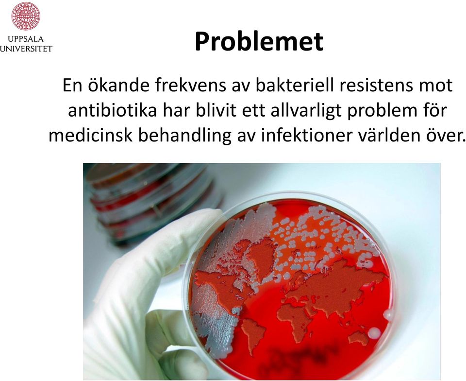 har blivit ett allvarligt problem för