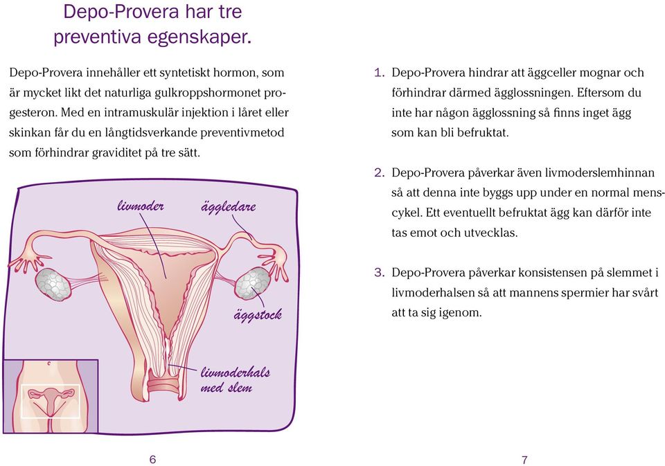 Depo-Provera hindrar att äggceller mognar och förhindrar därmed ägglossningen. Eftersom du inte har någon ägglossning så finns inget ägg som kan bli befruktat. 2.