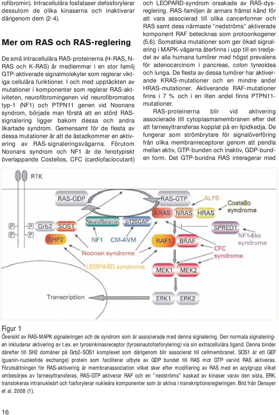 I och med upptäckten av mutationer i komponenter som reglerar RAS-aktiviteten, neurofibromingenen vid neurofibromatos typ-1 (NF1) och PTPN11 genen vid Noonans syndrom, började man förstå att en störd