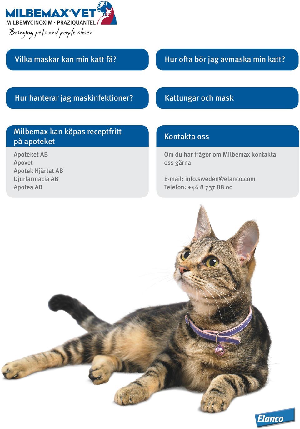 Kattungar och mask Milbemax kan köpas receptfritt på apoteket Kontakta oss Apoteket