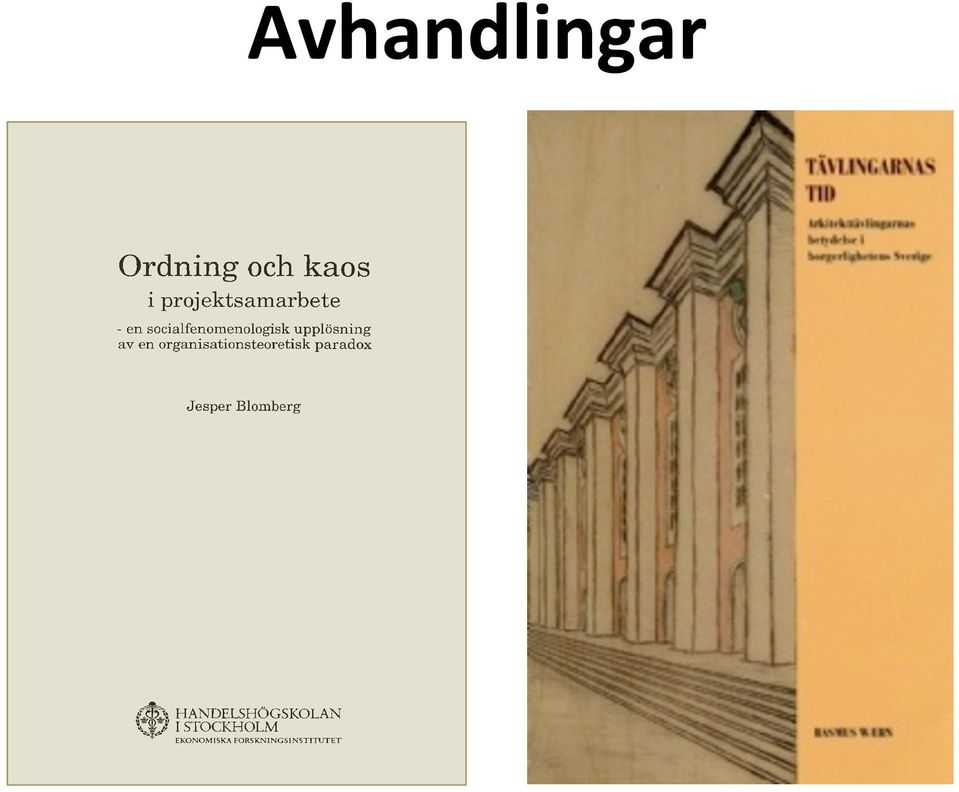 organisationsteoretisk paradox J esper BloInberg