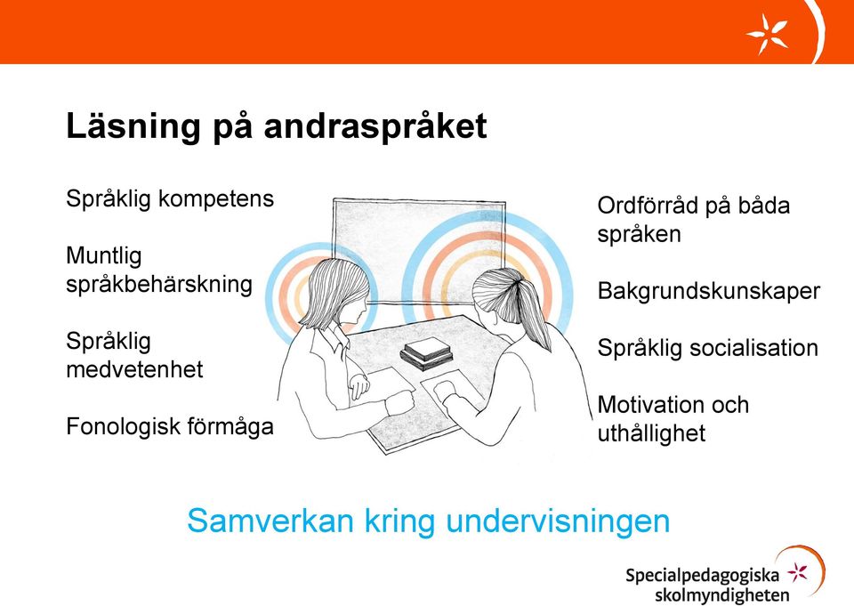 Ordförråd på båda språken Bakgrundskunskaper Språklig