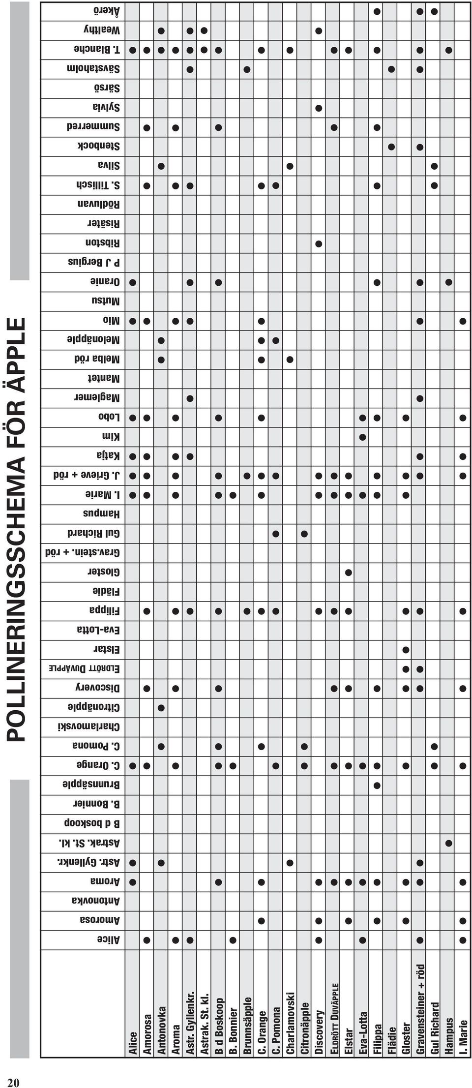 Grieve + röd Katja Kim Lobo Maglemer Mantet Melba röd Melonäpple Mio Mutsu Oranie P J Bergius Ribston Risäter Rödluvan S. Tillisch Silva Stenbock Summerred Sylvia Särsö Sävstaholm T.