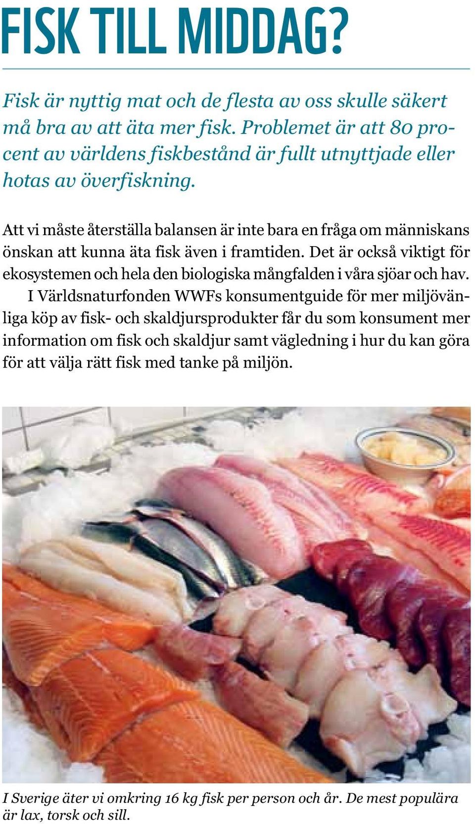 Att vi måste återställa balansen är inte bara en fråga om människans önskan att kunna äta fisk även i framtiden.