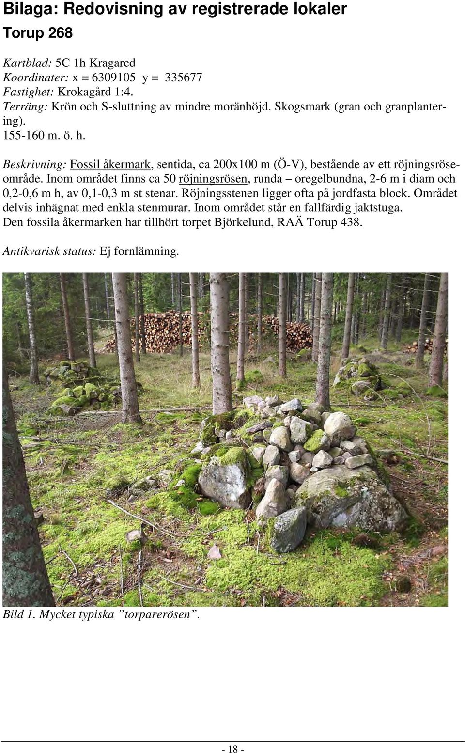 Beskrivning: Fossil åkermark, sentida, ca 200x100 m (Ö-V), bestående av ett röjningsröseområde.