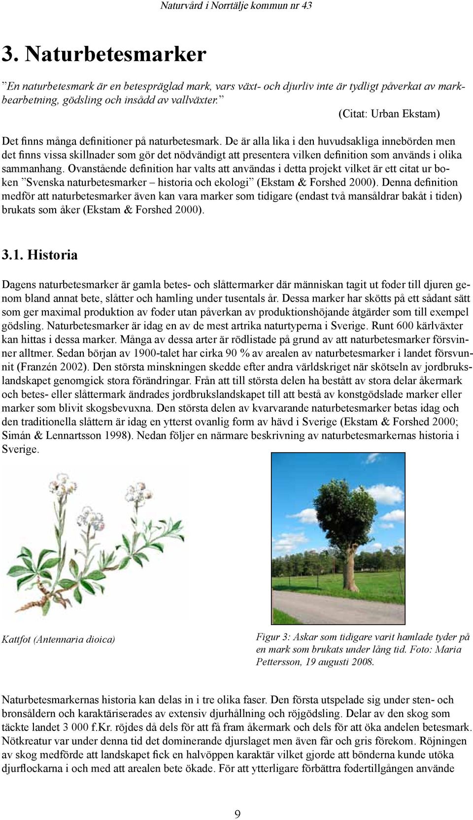 De är alla lika i den huvudsakliga innebörden men det finns vissa skillnader som gör det nödvändigt att presentera vilken definition som används i olika sammanhang.