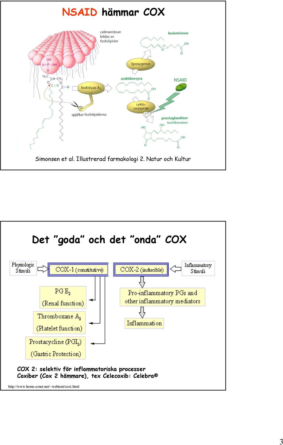 för inflammatoriska processer Coxiber (Cox 2 hämmare), tex