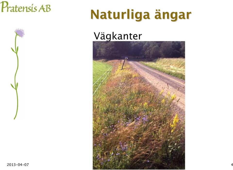 Vägkanter