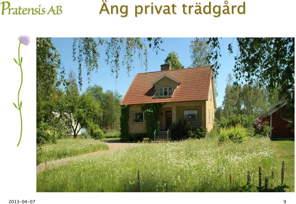 trädg