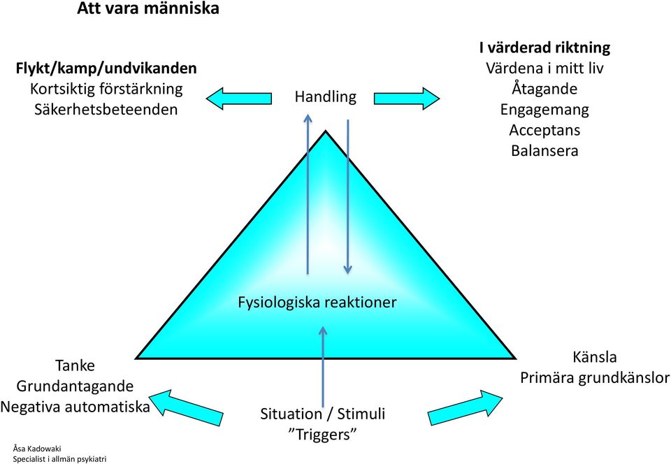 Balansera Fysiologiska reaktioner Tanke Grundantagande Negativa automatiska Åsa