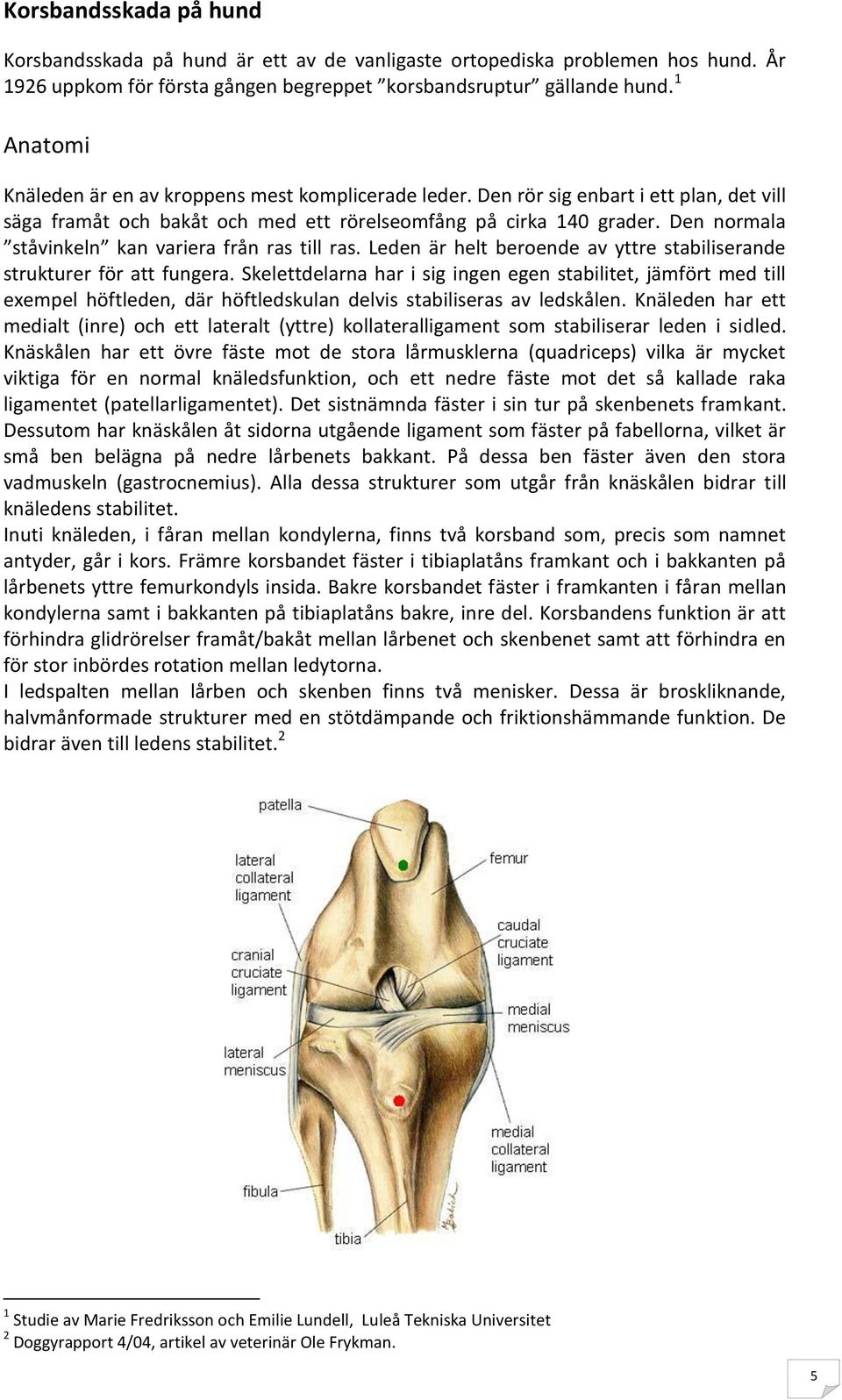 Vägen tillbaka till ett friskt hundliv.! - PDF Free Download