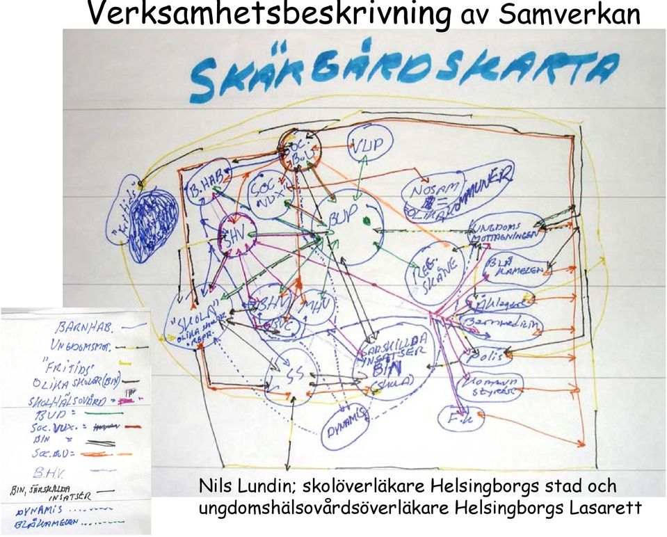 skolöverläkare Helsingborgs stad