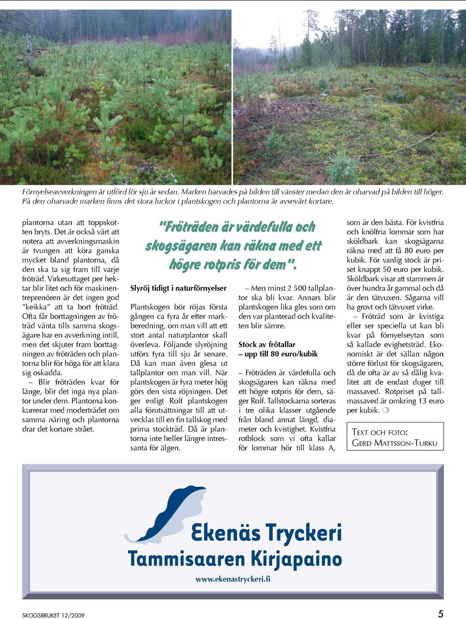 Det är också värt att notera att avverkningsmaskin är tvungen att köra ganska mycket bland plantorna, då den ska ta sig fram till varje fröträd.