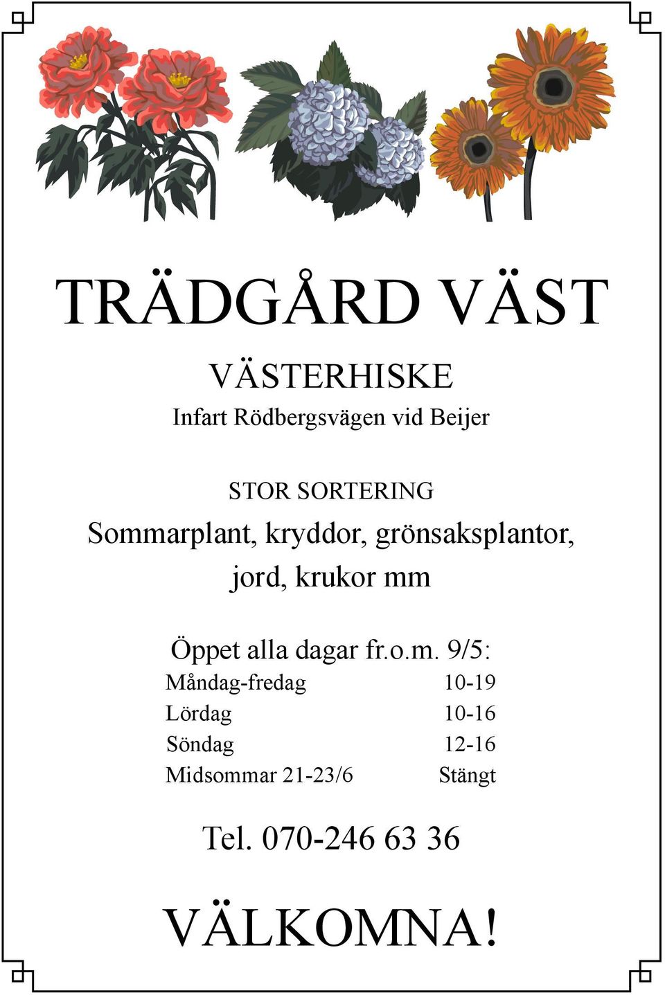 SOMMARPLANT jord, krukor mm