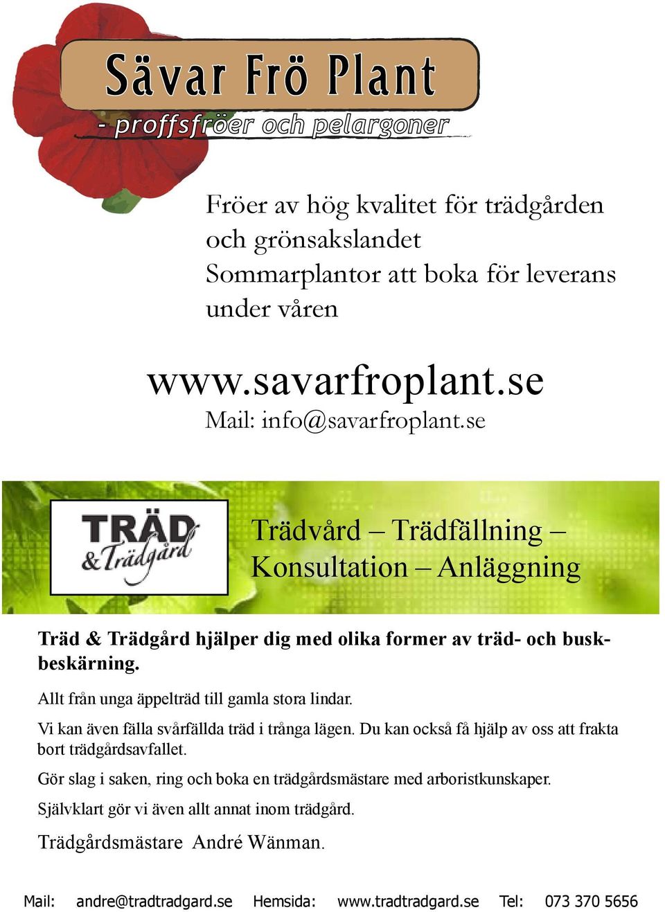 Allt från unga äppelträd till gamla stora lindar. Vi kan även fälla svårfällda träd i trånga lägen. Du kan också få hjälp av oss att frakta bort trädgårdsavfallet.