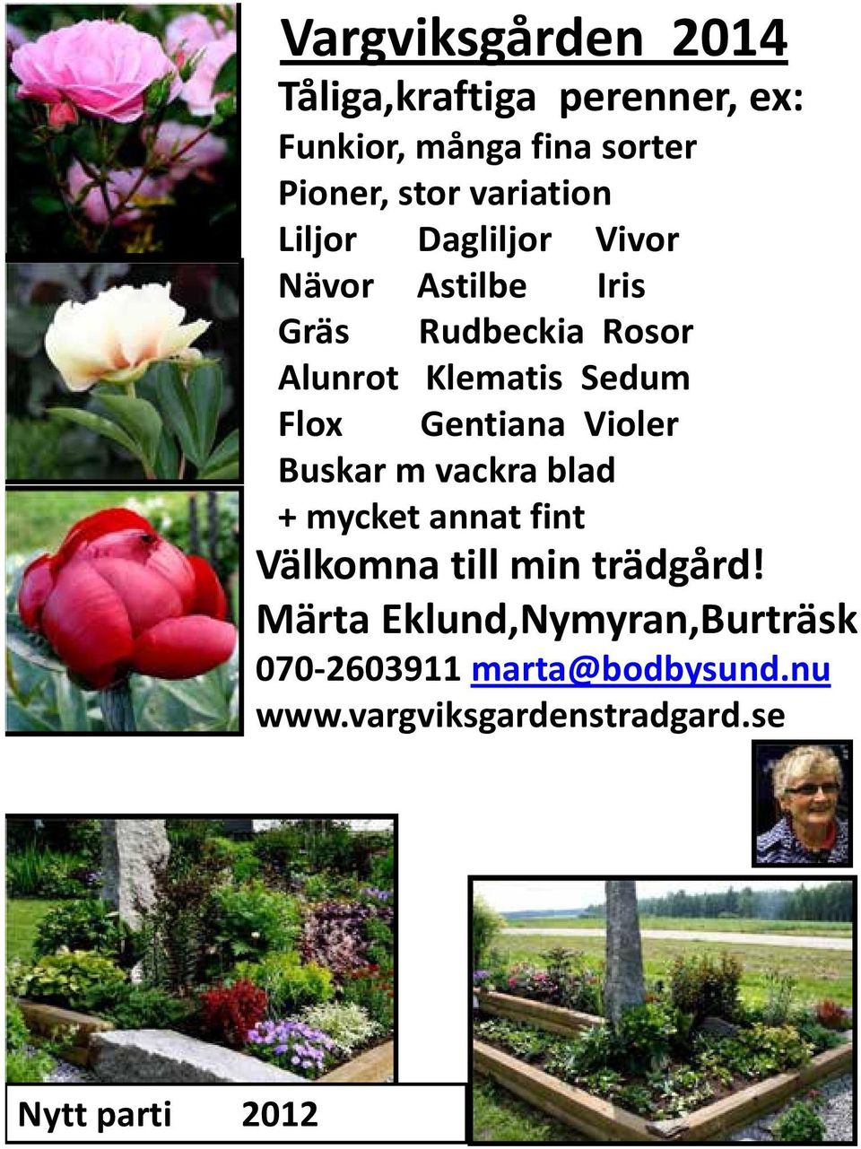 Flox Gentiana Violer Buskar m vackra blad + mycket annat fint Välkomna till min trädgård!