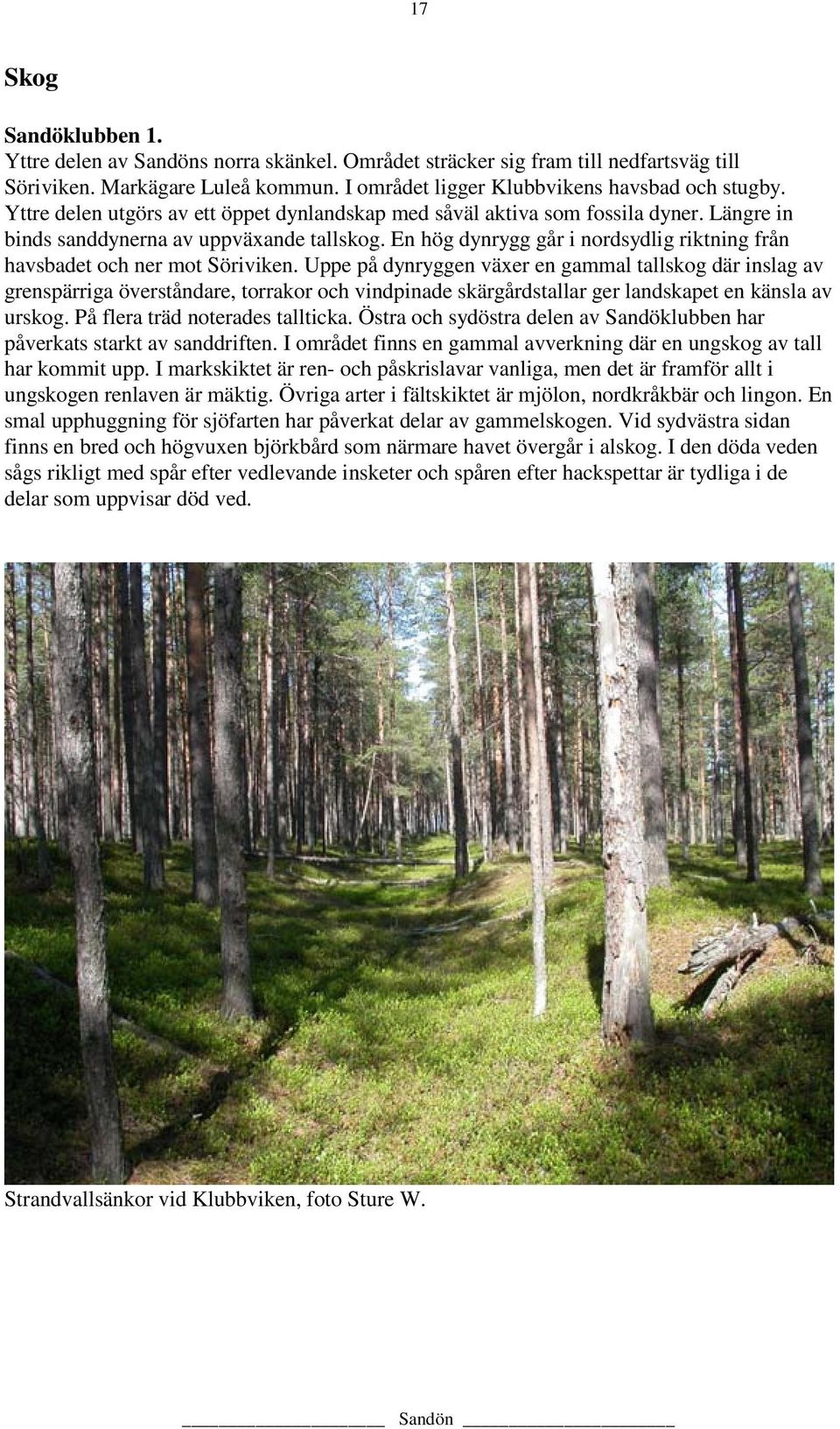 En hög dynrygg går i nordsydlig riktning från havsbadet och ner mot Söriviken.