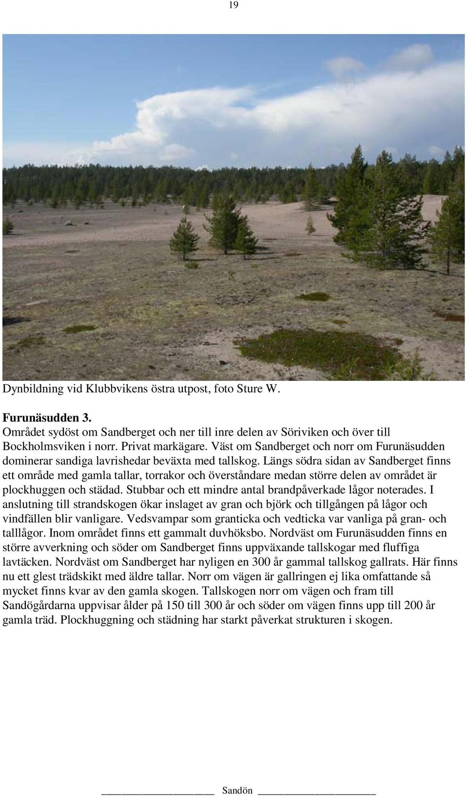 Längs södra sidan av Sandberget finns ett område med gamla tallar, torrakor och överståndare medan större delen av området är plockhuggen och städad.