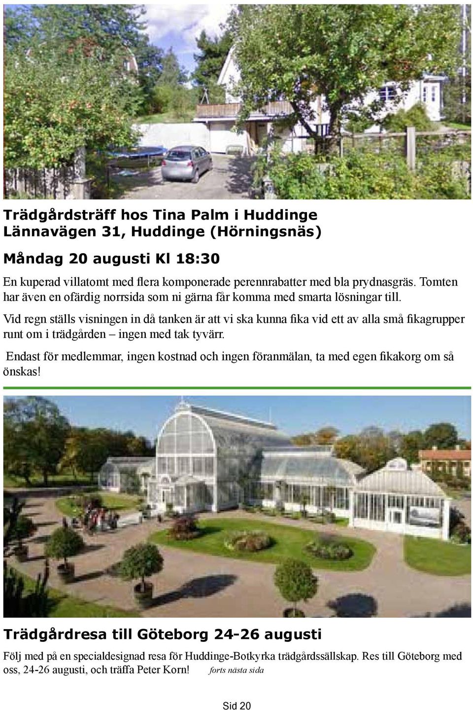 Vid regn ställs visningen in då tanken är att vi ska kunna fika vid ett av alla små fikagrupper runt om i trädgården ingen med tak tyvärr.
