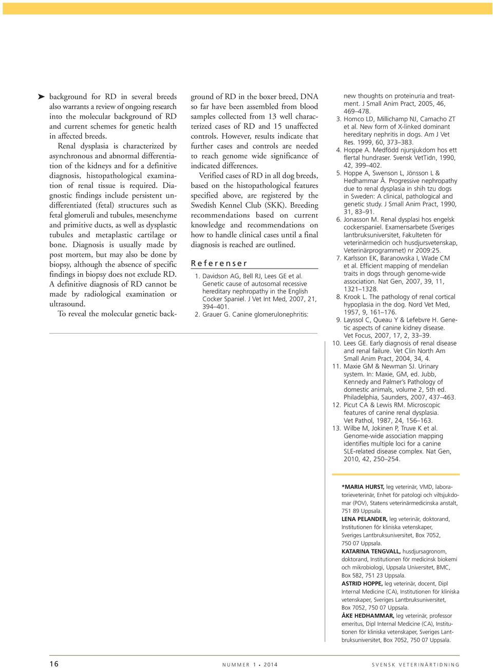 Diagnostic findings include persistent un - differentiated (fetal) structures such as fetal glomeruli and tubules, mesenchyme and primitive ducts, as well as dysplastic tubules and metaplastic