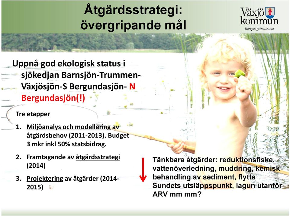 Budget 3 mkr inkl 50% statsbidrag. 2. Framtagande av åtgärdsstrategi (2014) 3.