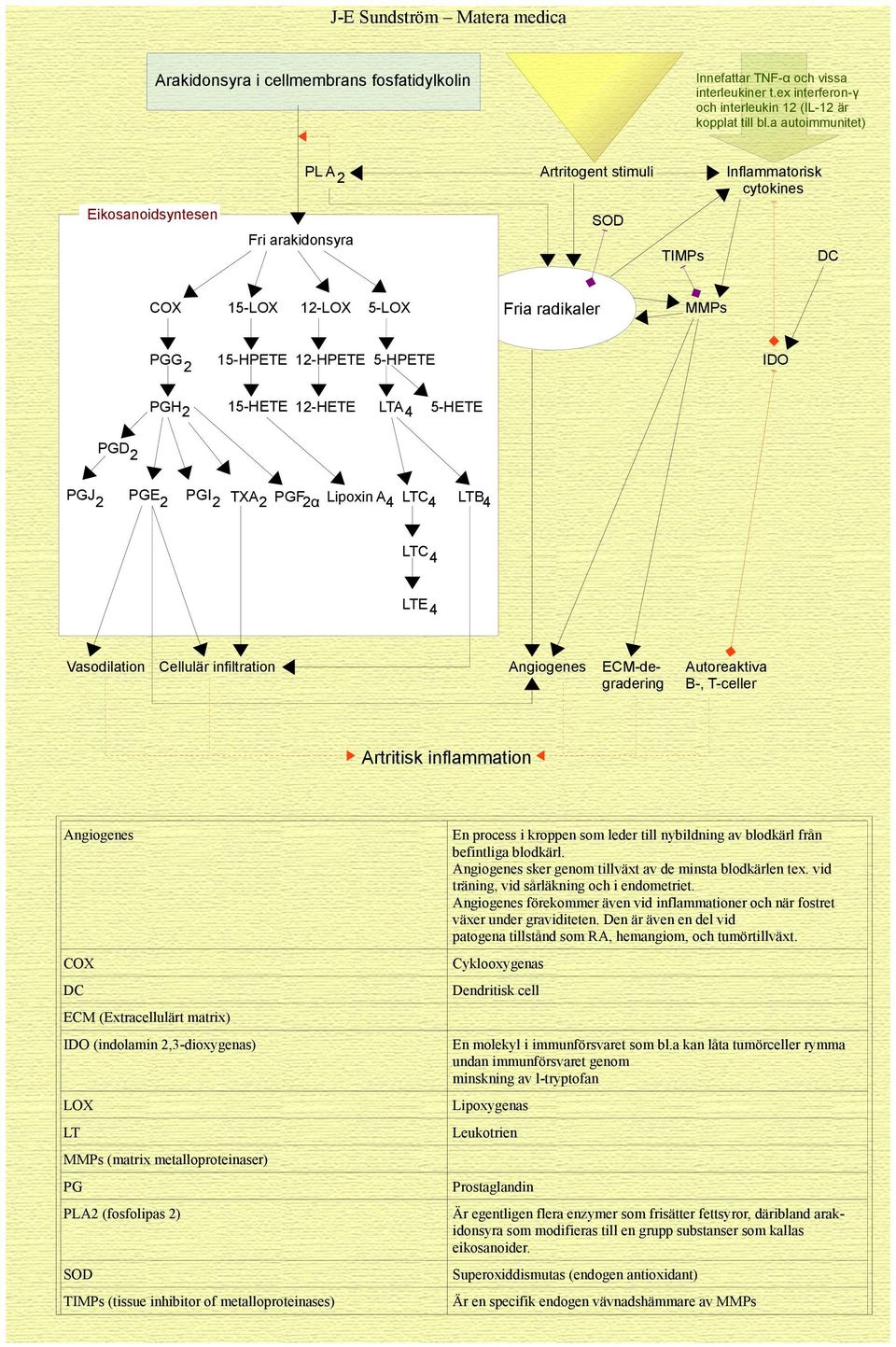 PGH2 15-HETE 12-HETE LTA 4 5-HETE PGD 2 PGJ 2 PGE 2 PGI 2 TXA2 PGF2α Lipoxin A 4 LTC 4 LTB 4 LTC 4 LTE 4 Vasodilation Cellulär infiltration Angiogenes ECM-degradering Autoreaktiva B-, T-celler