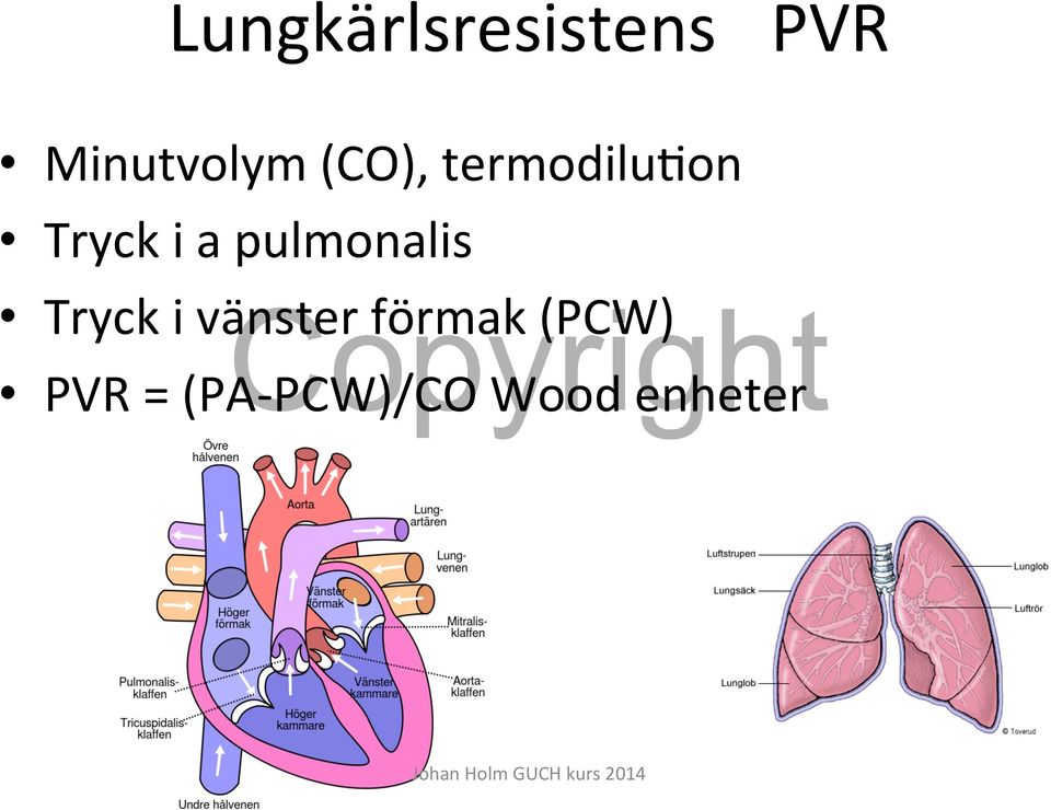 pulmonalis Tryck i vänster förmak