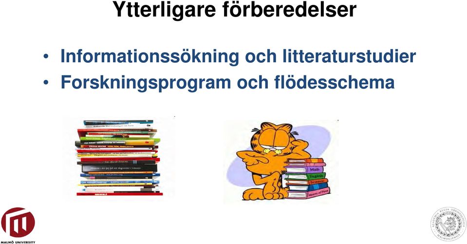litteraturstudier